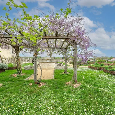 Esope By Kleidos-ravissant T2 En Plein Centre De *